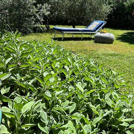 Golden Hill - Big Rooms With Kitchen And Garden Collina d'Oro Exterior photo