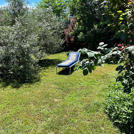 Golden Hill - Big Rooms With Kitchen And Garden Collina d'Oro Exterior photo