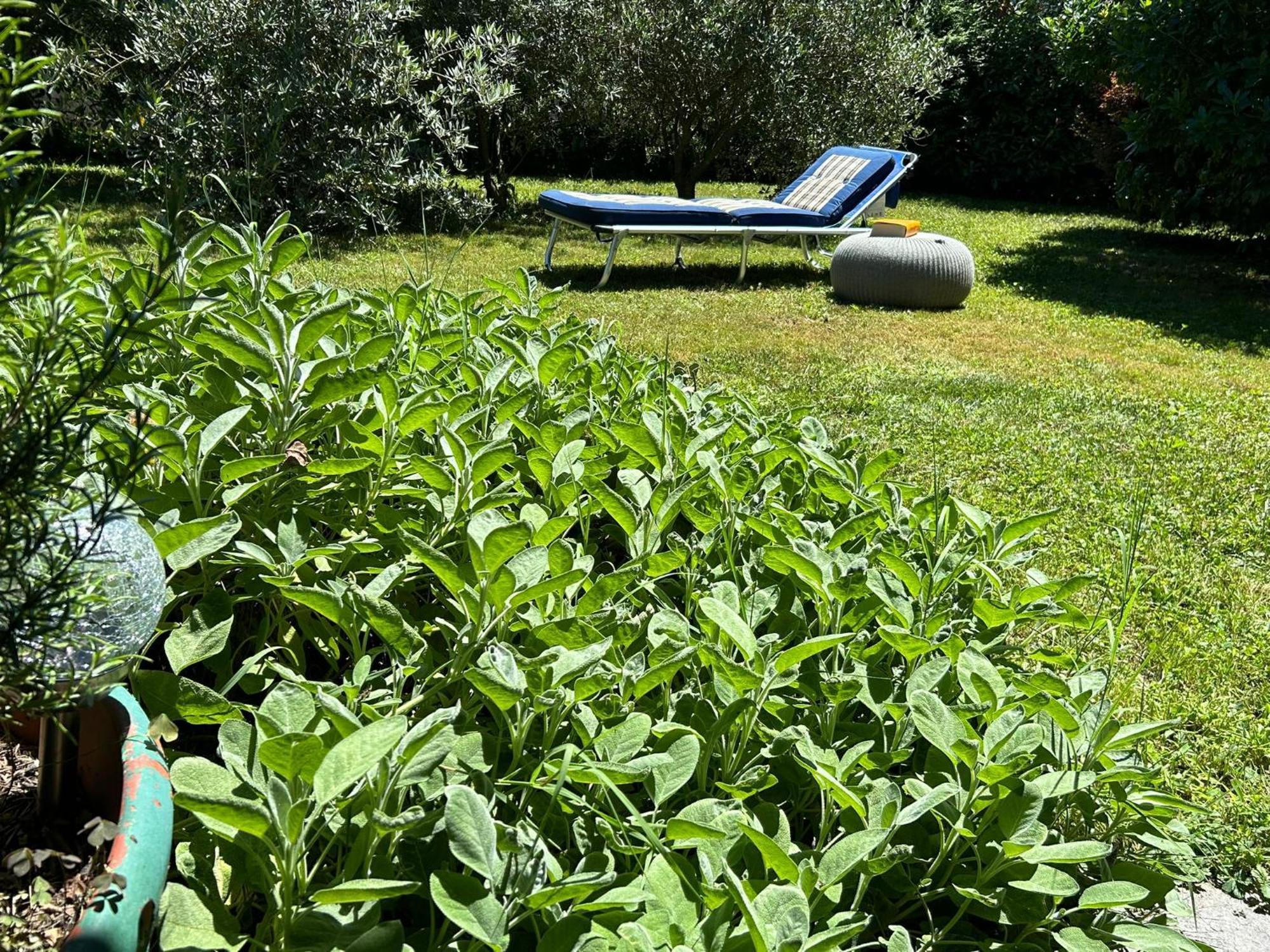 Golden Hill - Big Rooms With Kitchen And Garden Collina d'Oro Exterior photo